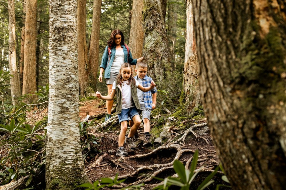 Gentle Hikes for All Ages in Almost Heaven - Almost Heaven - West Virginia