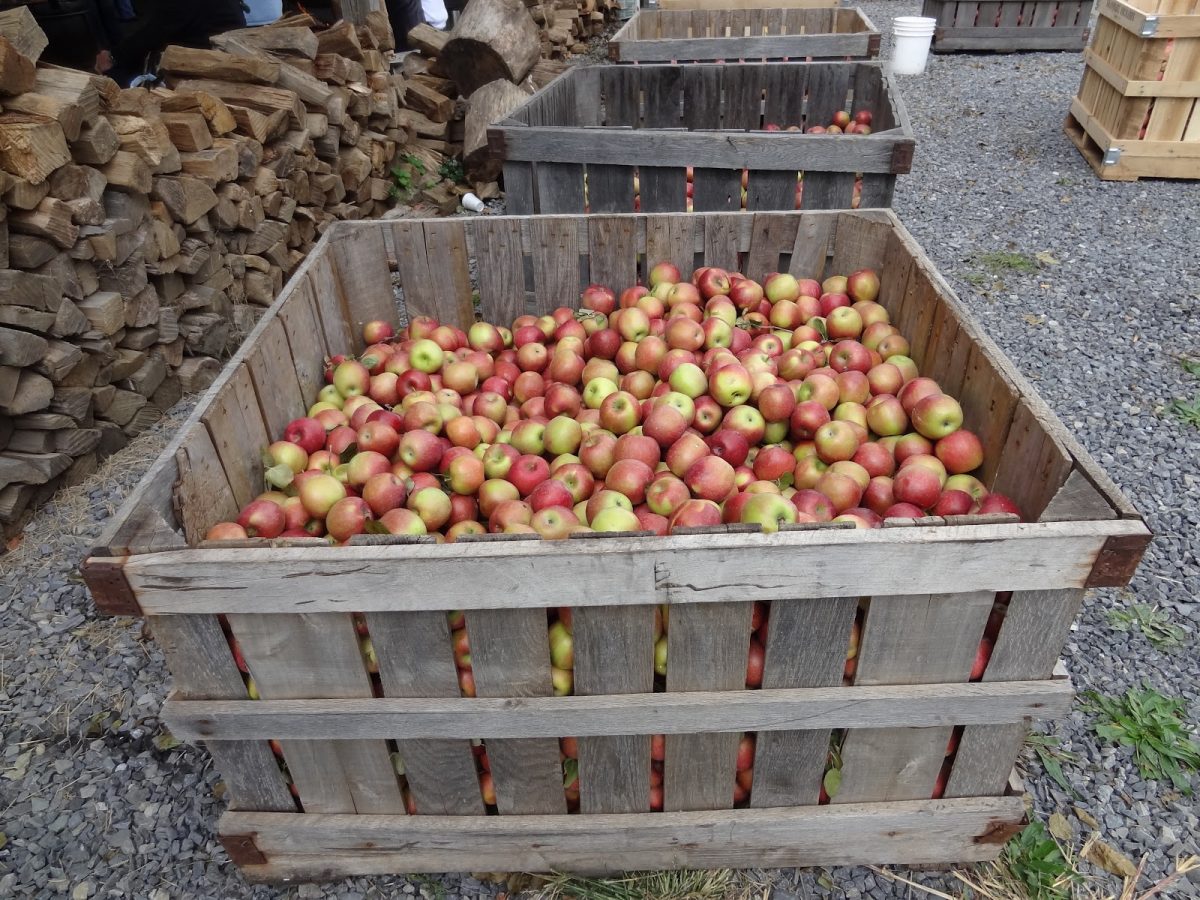 46th Burlington OldFashioned Apple Harvest Festival Almost Heaven