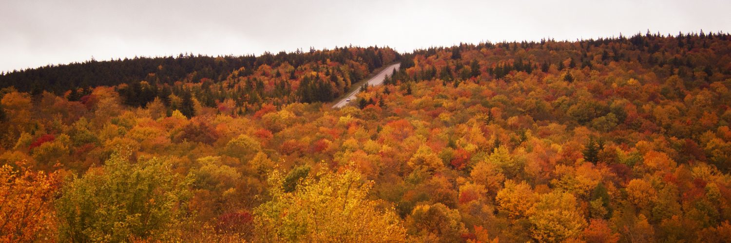 these-4-spots-are-perfect-for-fall-foliage-in-west-virginia-almost