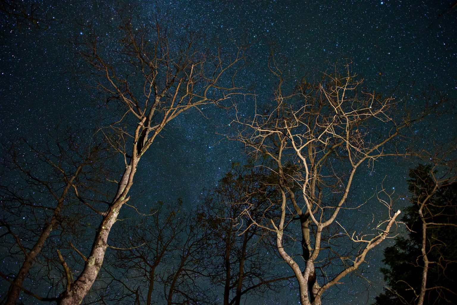 True West Virginia Nightlife: Stargazing Must-Sees - Almost Heaven ...