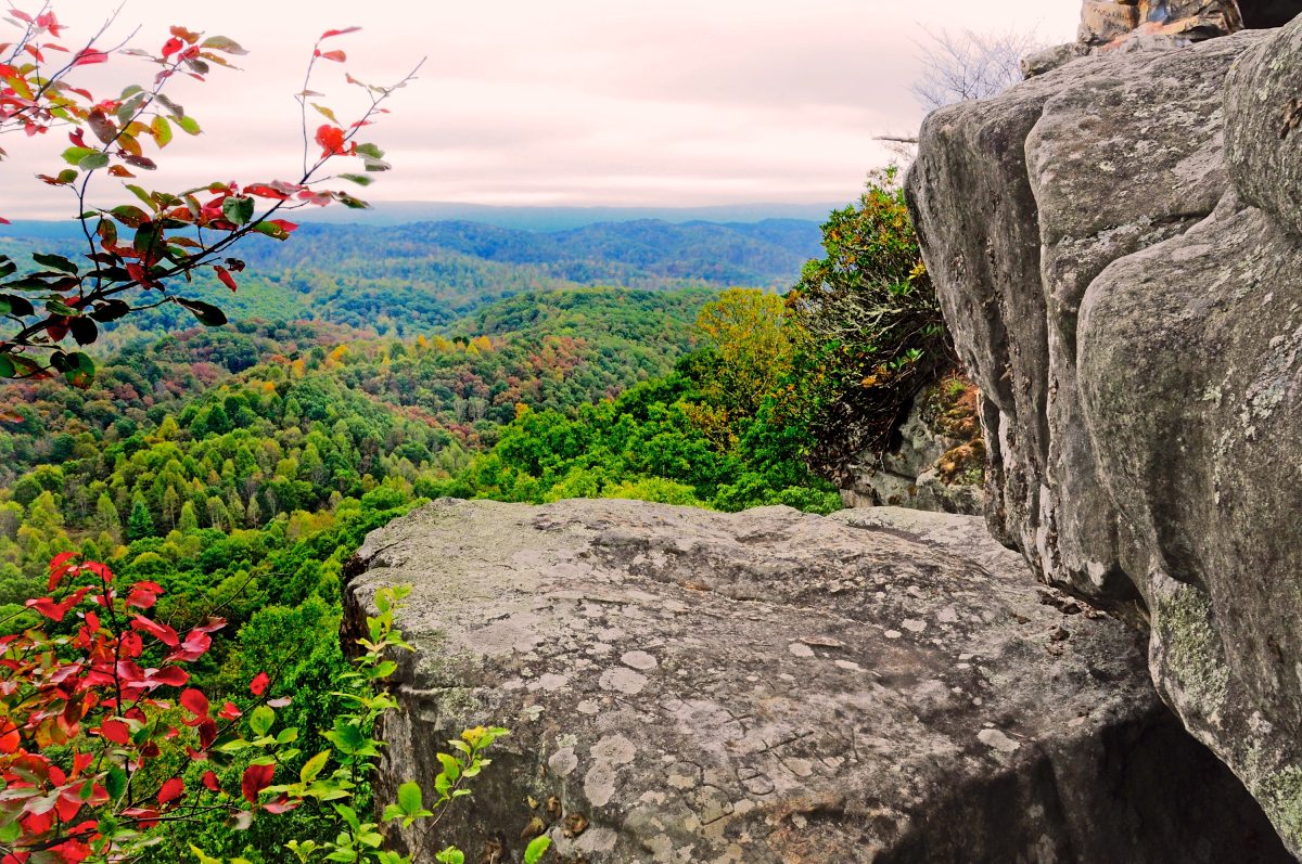 6 Iconic West Virginia Views & The Top Ways to Experience Them Almost
