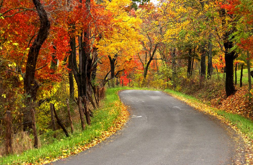 Discover the Perfect Scenic Drives in West Virginia Almost Heaven