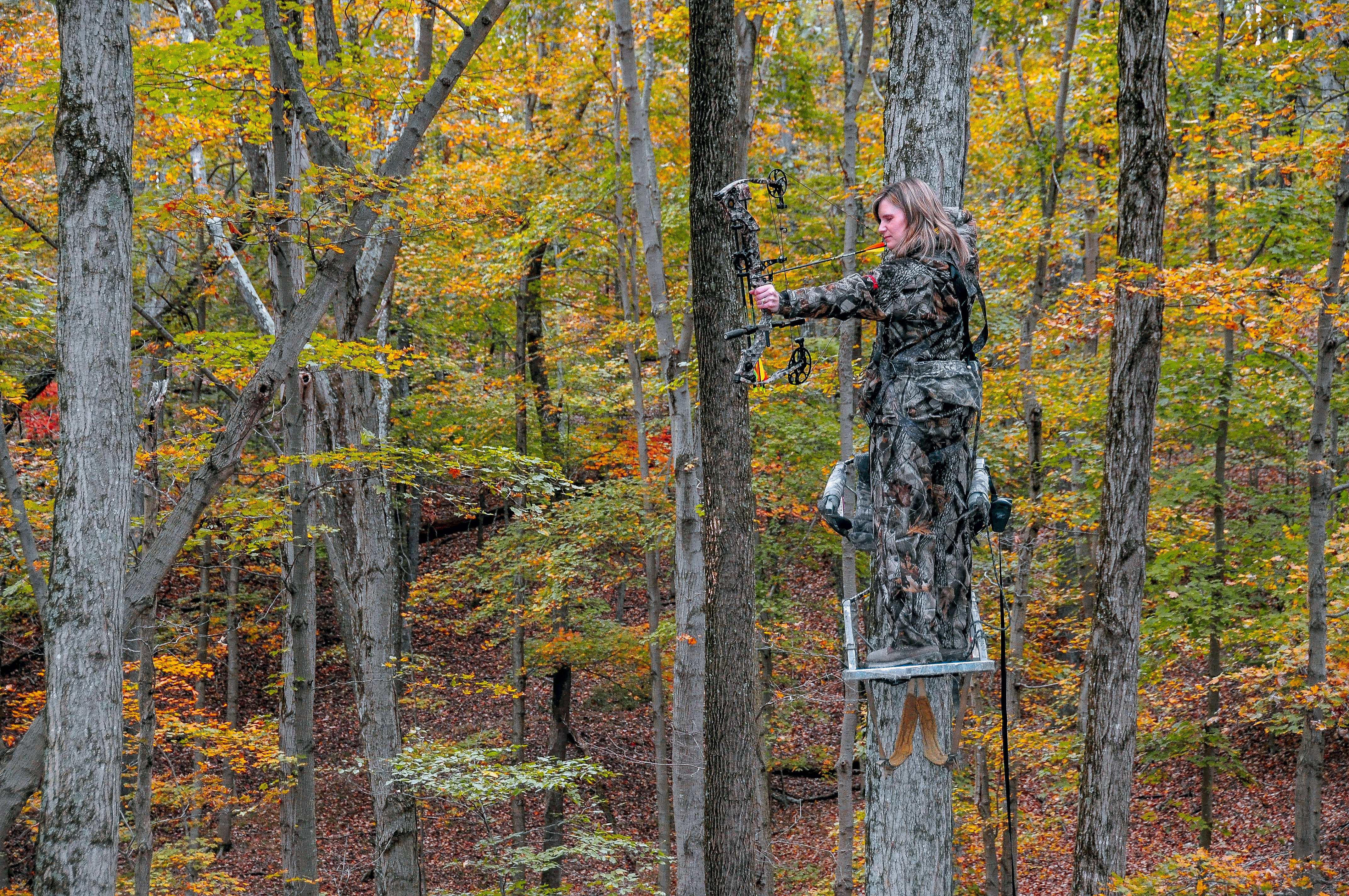 Did you know about West Virginia's bowonly hunting? Almost Heaven