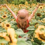 Photo preview of Sunset Berry Farm
