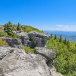 Photo preview of Dolly Sods Wilderness