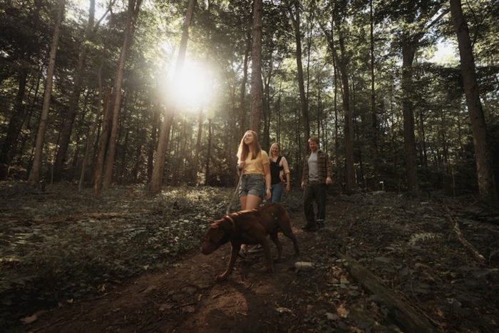 Family hiking in the woods with their dog.