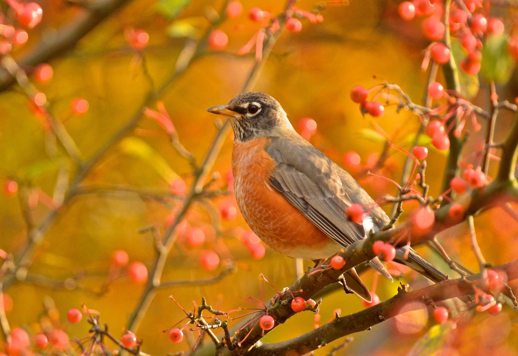 7 Outdoor Activities & Adventures for Kids Right in Your Own Backyard ...