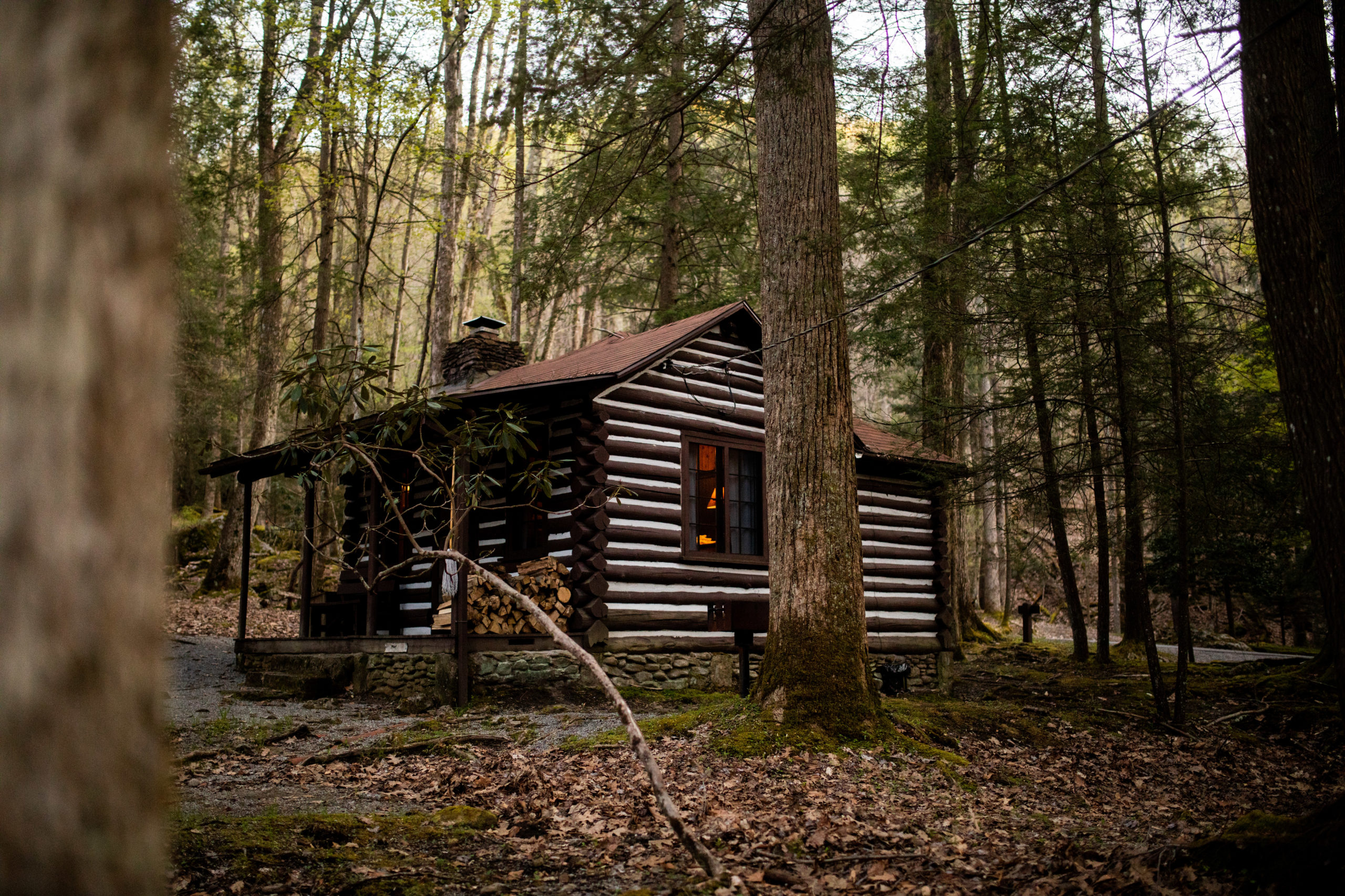 SPRING CABIN FAVORITES - Almost Heaven - West Virginia : Almost Heaven