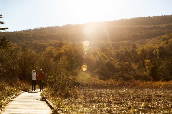Hiking - Almost Heaven - West Virginia