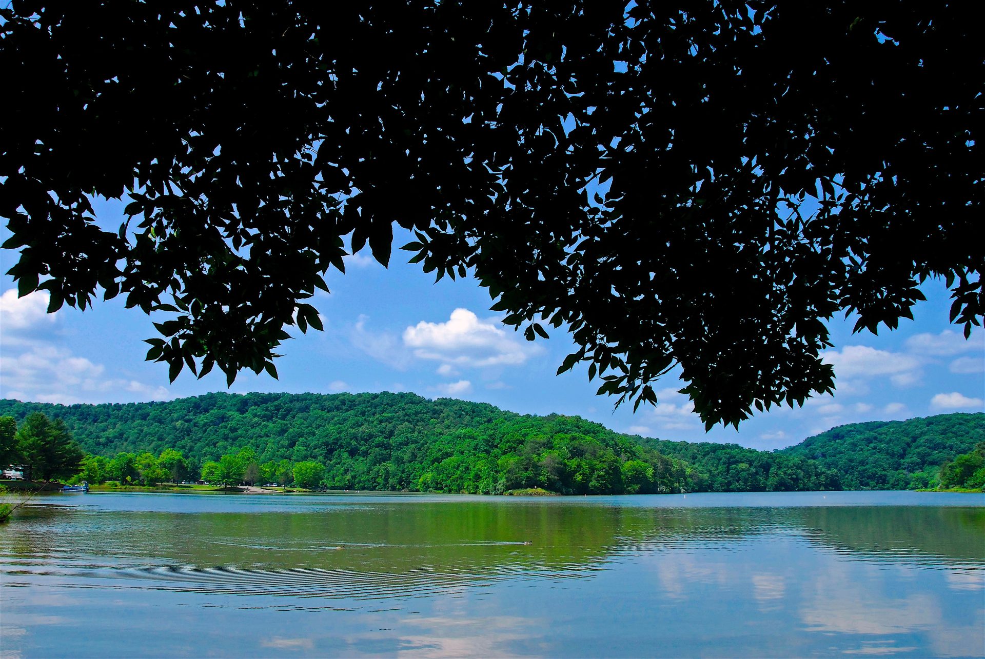 Barboursville Convention and Visitors Bureau (CVB) Almost Heaven West Virginia