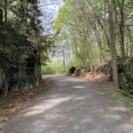 Photo preview of Deckers Creek Trail