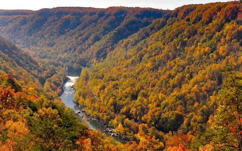 Autumn in New River Gorge, WV