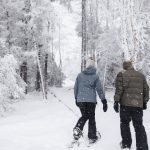 Photo preview of Ski The Valley