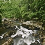 Photo preview of Glade Creek Falls