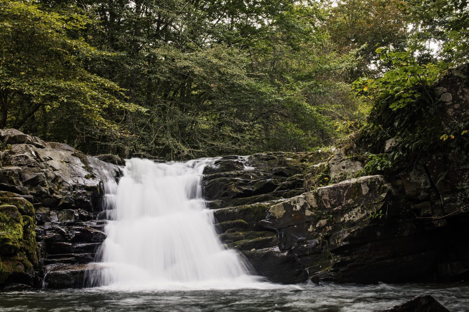 Seneca Creek Falls - Almost Heaven - West Virginia