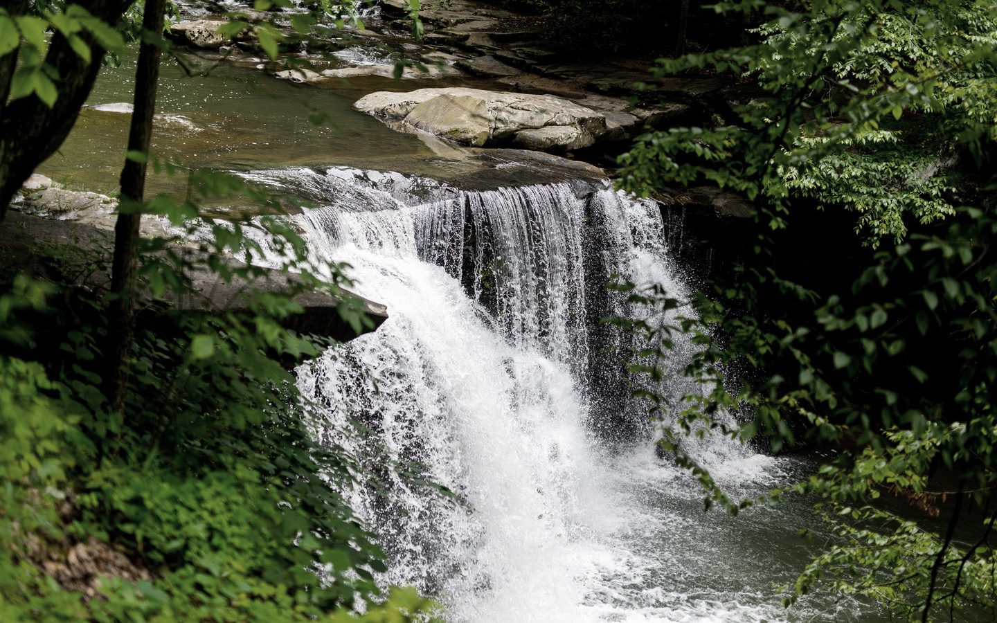 2 Snowy Waterfall Getaways To Pick From This Winter - Almost Heaven - West  Virginia
