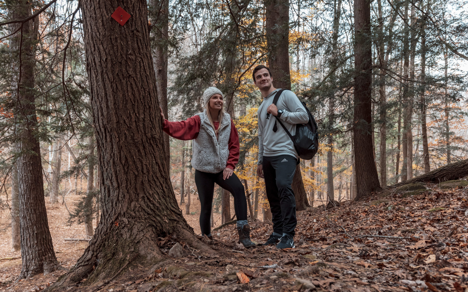 An Adventure through the MidOhio Valley Almost Heaven West Virginia