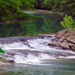 The West Virginia Bigfoot Museum