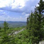 Photo preview of Pocahontas County Convention & Visitors Bureau (CVB)