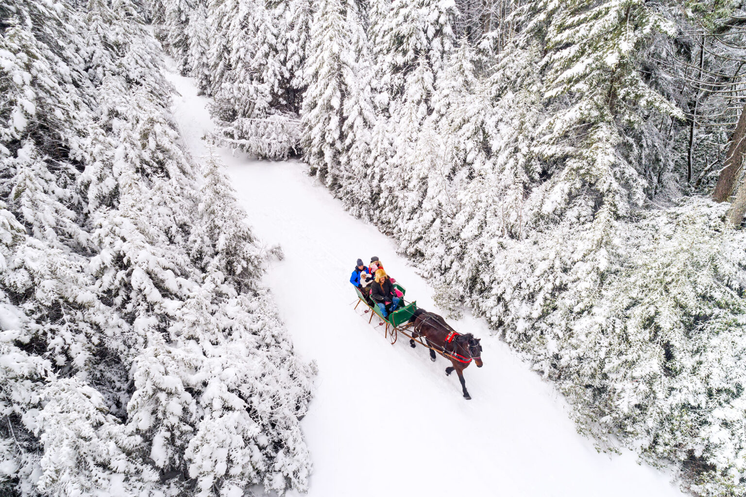5 Reasons West Virginia Is Worth A Winter Trip - Almost Heaven - West ...