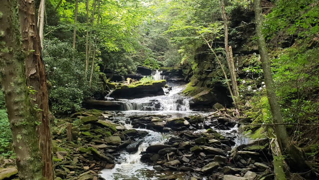 Cranberry Creek Cascades Almost Heaven West Virginia