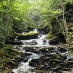 Photo preview of Cranberry Creek Cascades