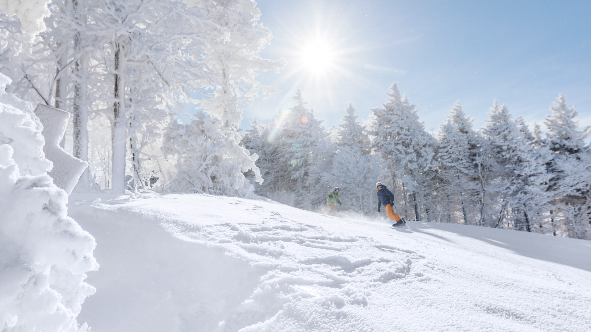 5 Must-Try Winter Activities in West Virginia - Almost Heaven - West ...