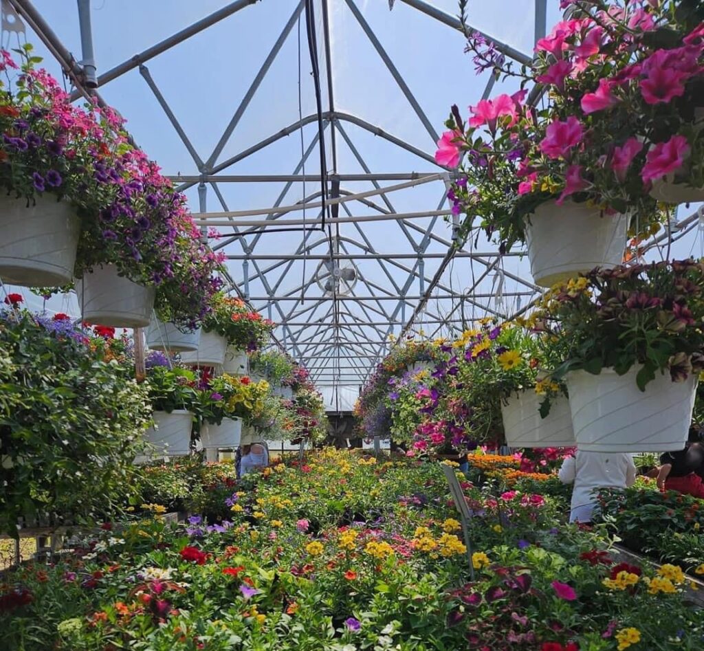 Valley View Greenhouse in Augusta, West Virginia - Almost Heaven - West ...