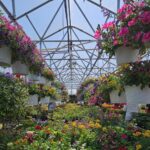 Photo preview of Valley View Greenhouse