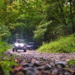 Photo preview of Hatfield McCoy Convention and Visitors Bureau (CVB)