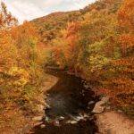 Photo preview of Appalachian Forest National Heritage Area