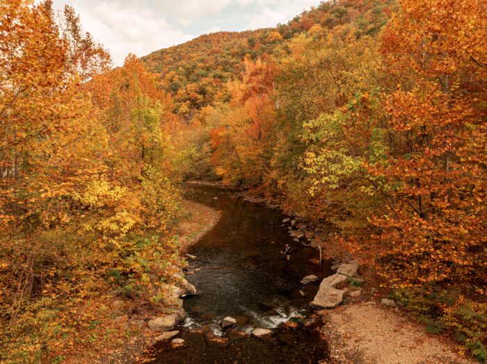 Fall, river