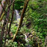 Photo preview of Clear Fork Rail Trail Waterfall