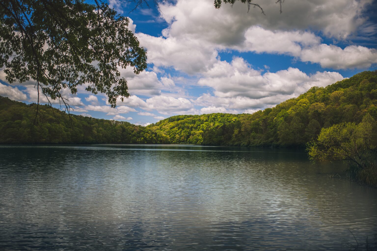 4 Reasons Why The Hatfield-McCoy Mountains Region is Worth a Trip ...