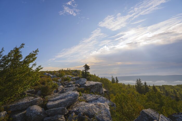 Dolly Sods Wilderness Area