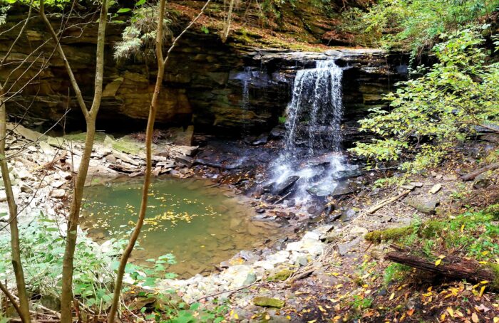 Little Whitestick Falls