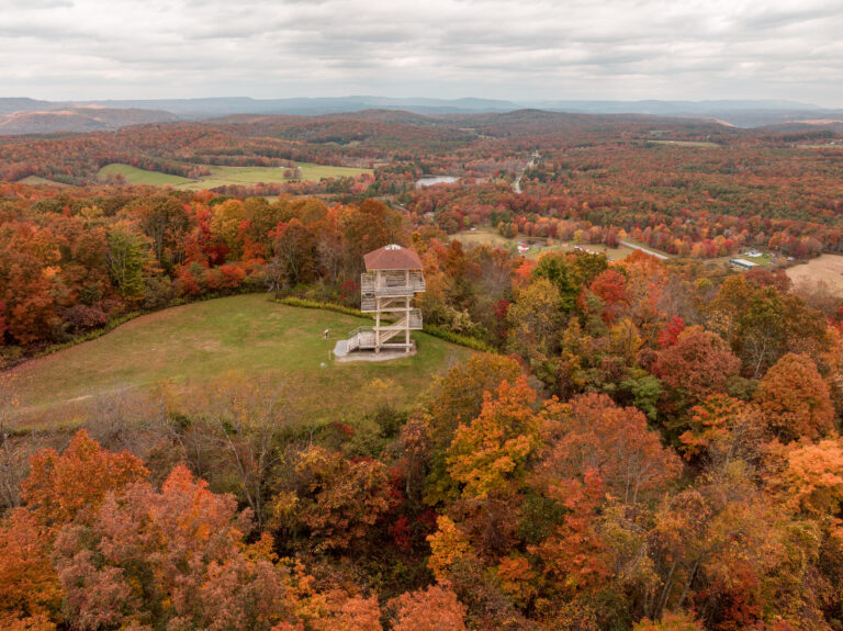 tree top canopy tours