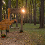 Photo preview of Almost Heaven Swing at Blennerhassett Island Historical State Park