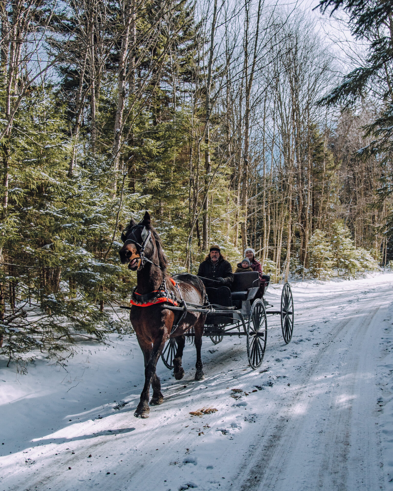 Snowshoe, Winter, Horse and CArriage ride