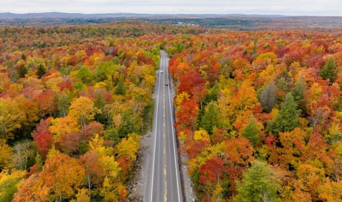 Canaan Valley, Fall, Road, Aerial view