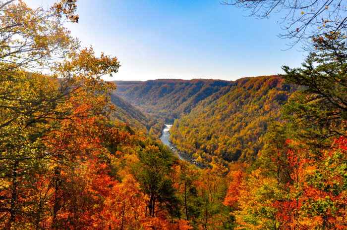 New River Gorge, Fall