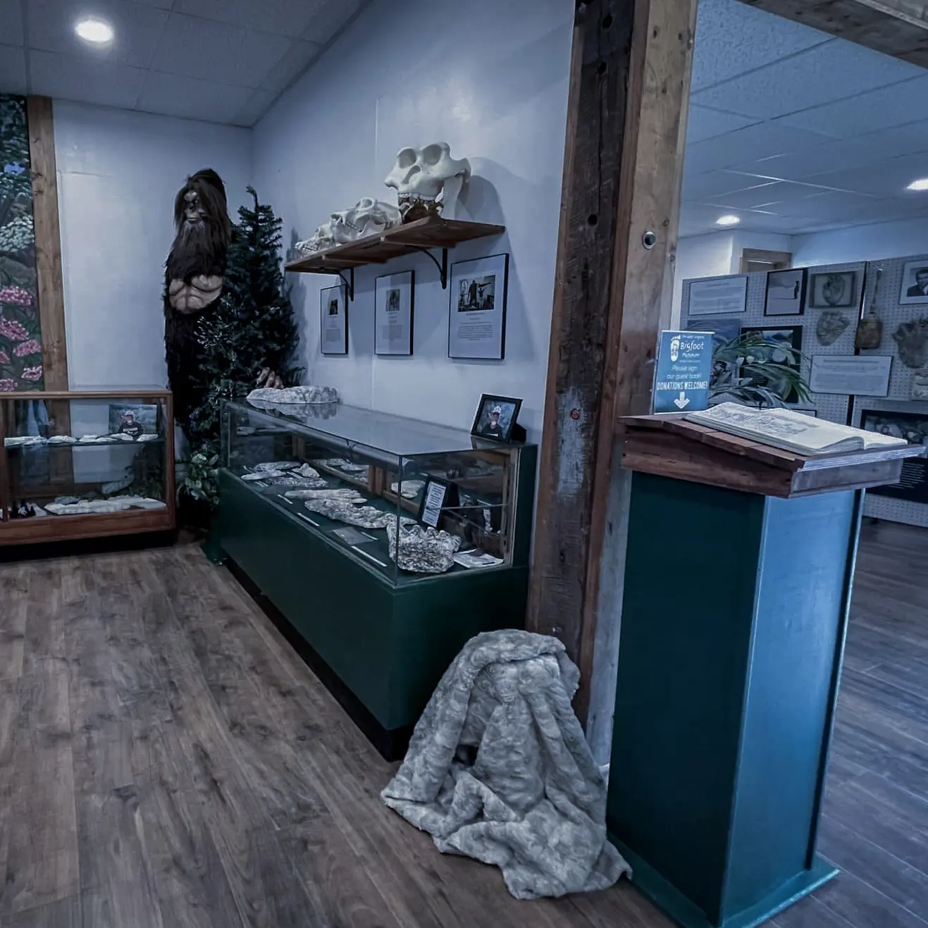 Bigfoot Museum, display