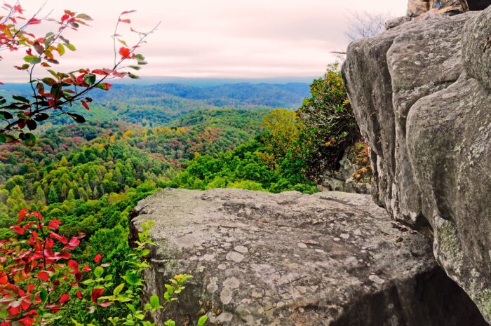 Pinnacle Rock, fall