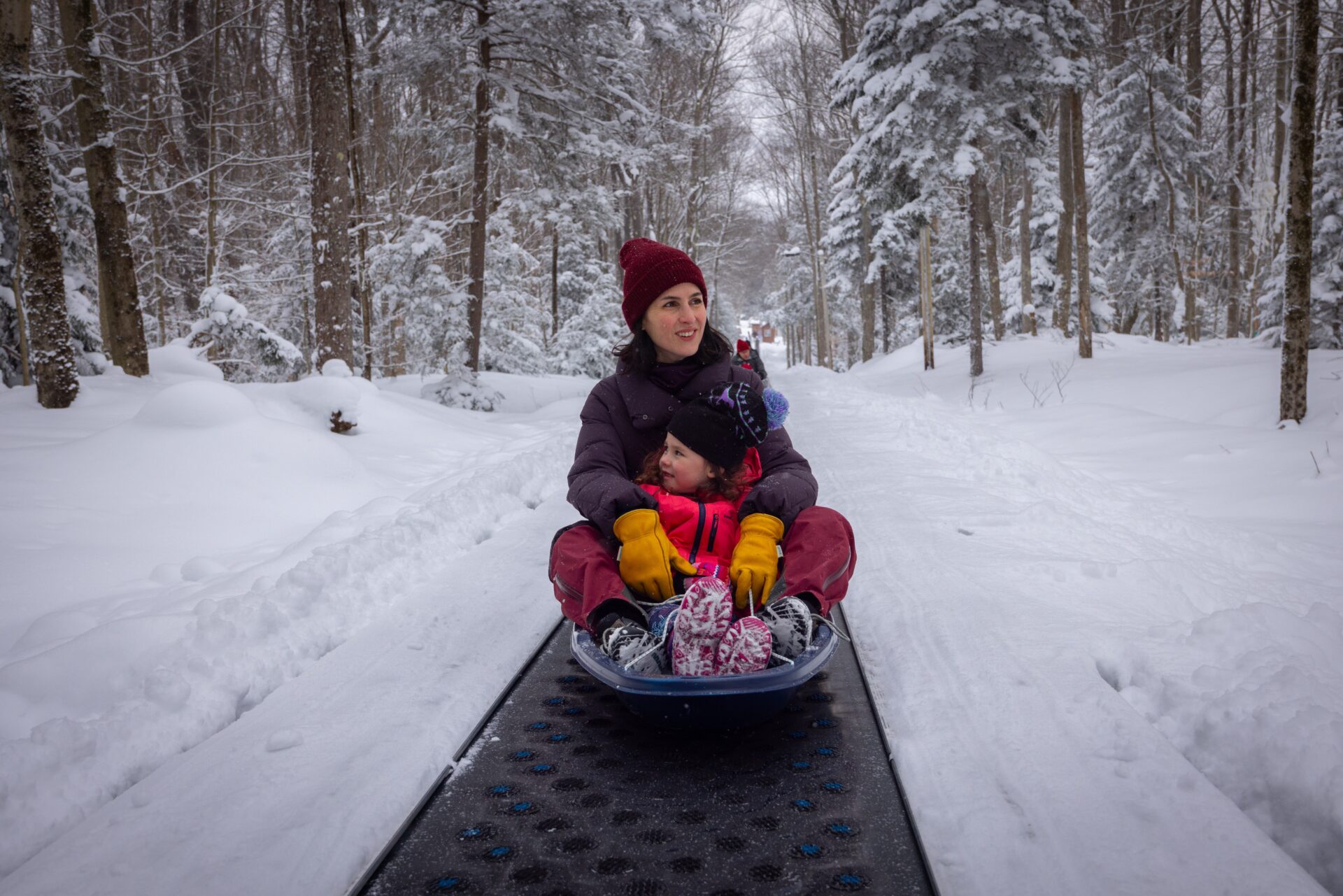 Sled Run, Blackwater Falls State Park, family