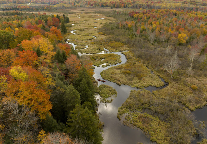 Aerial view of a winding stream cutting through a colorful autumn forest and open wetlands, with a canoe floating along the water — a serene and scenic fall landscape showcasing vibrant foliage and outdoor exploration.