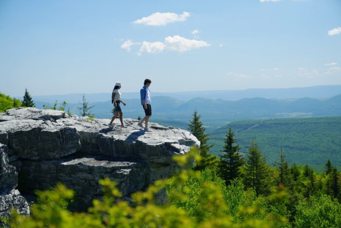 Dolly Sods