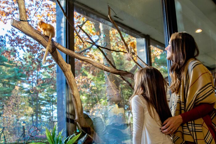 Good Zoo, family