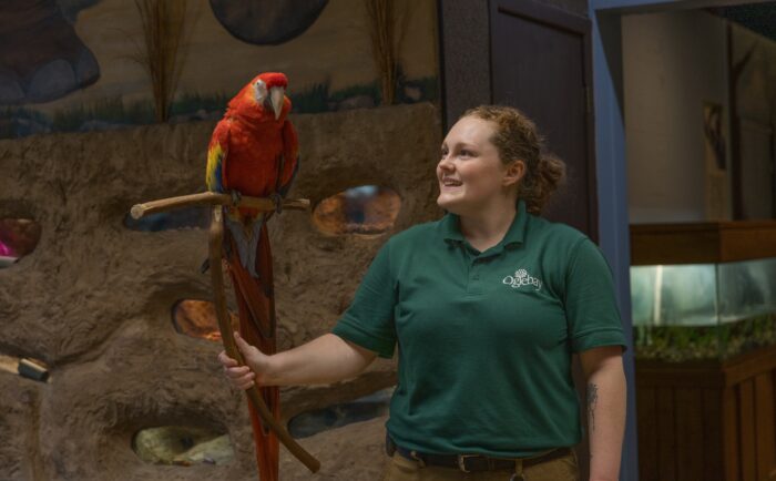 Oglebay, Parrot, Worker