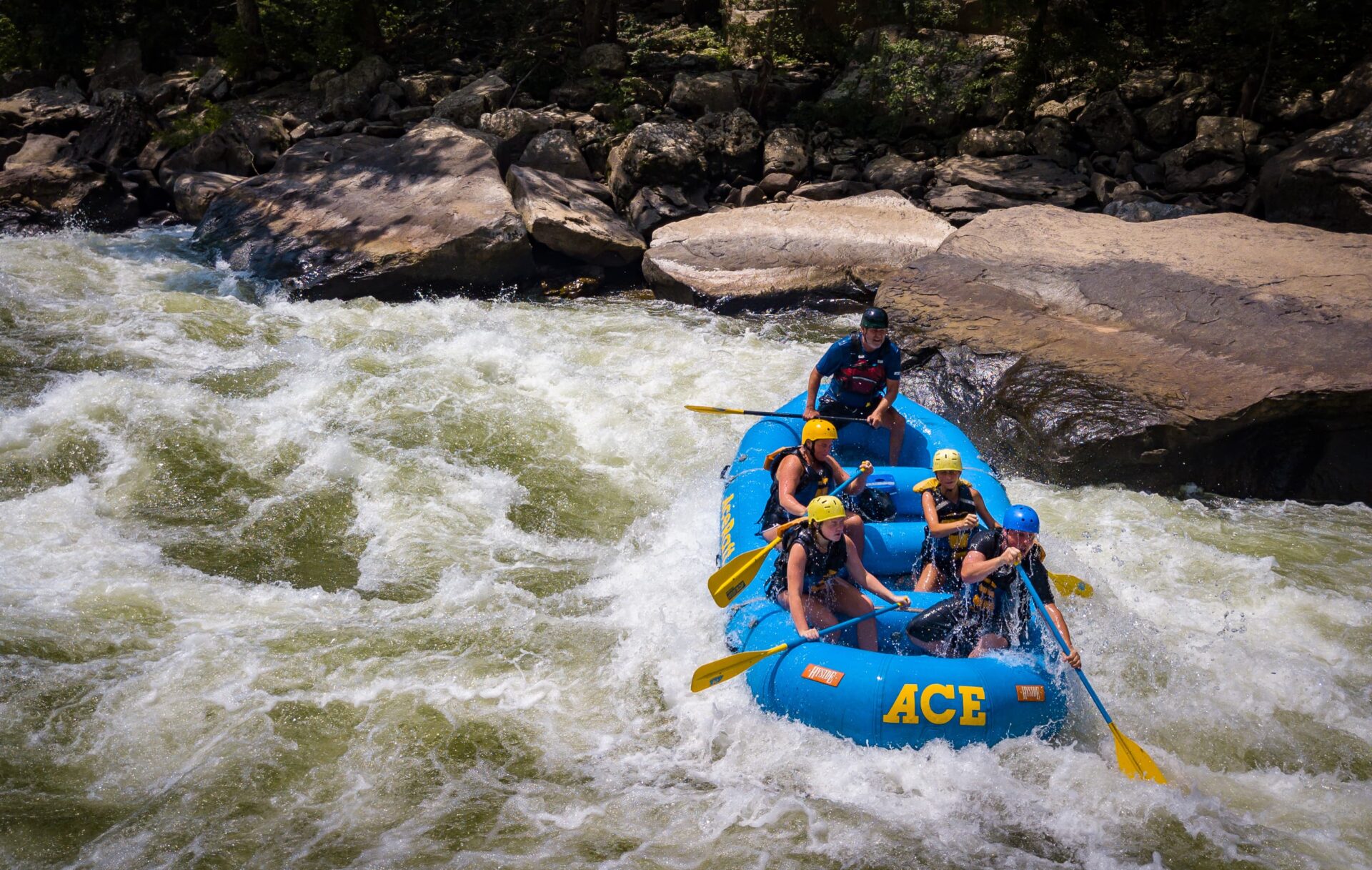 5 Reasons Why ACE Adventure is the Perfect Family Vacation Destination ...