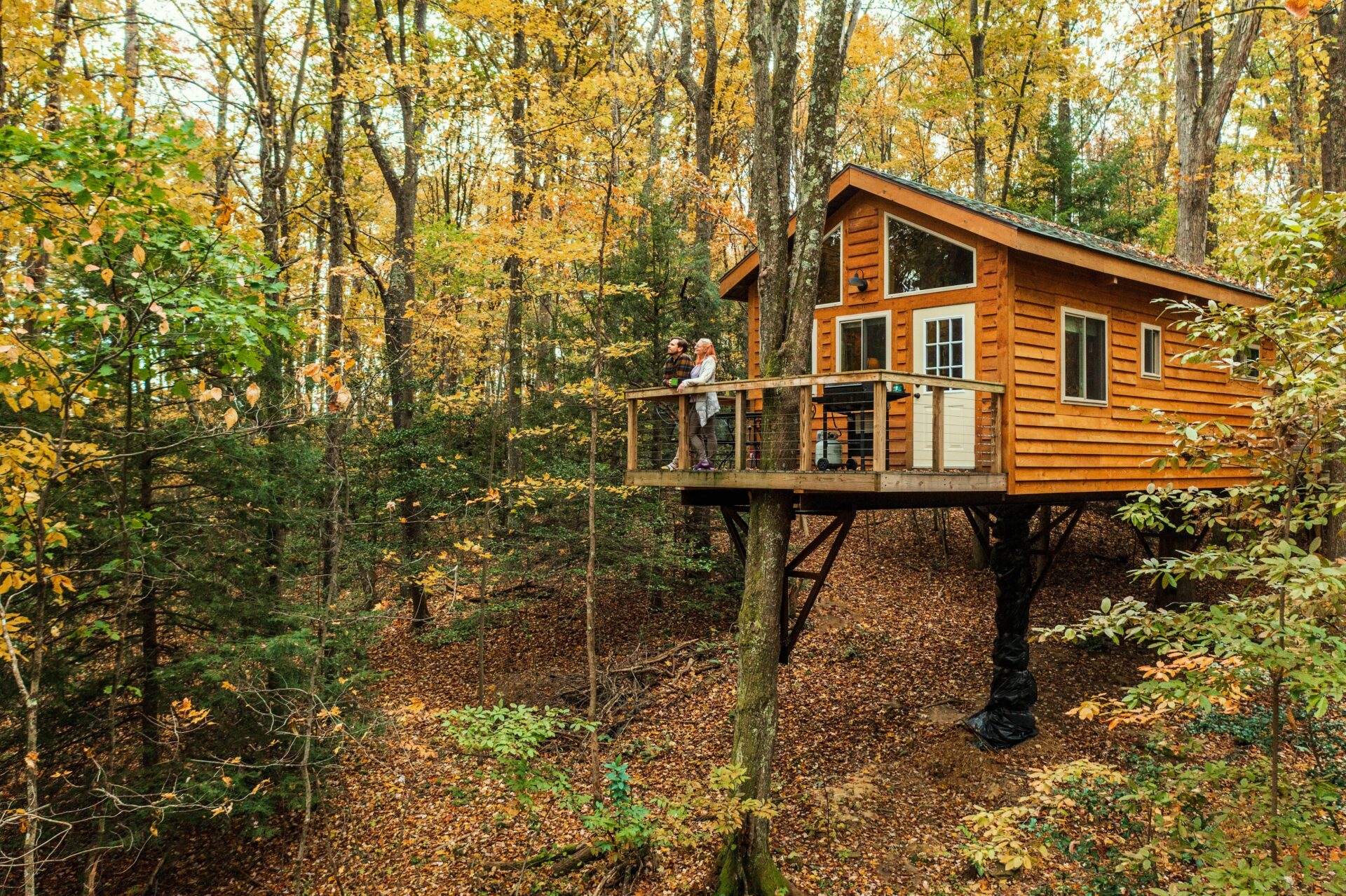 Country Roads Cabins